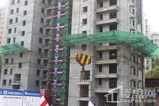 新东升·福园实景图