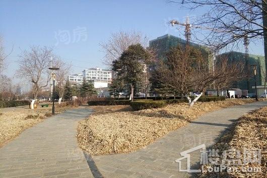 实景图