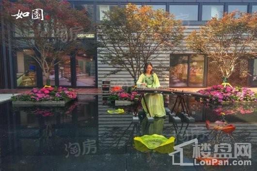 博山如园实景图