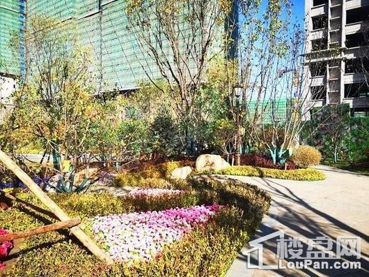 哈尔滨·恒大时代广场实景图