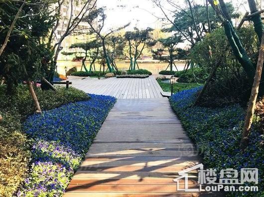 哈尔滨·恒大时代广场实景图