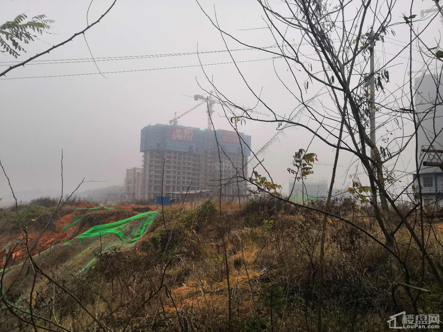 帝辰金缇水郡实景图