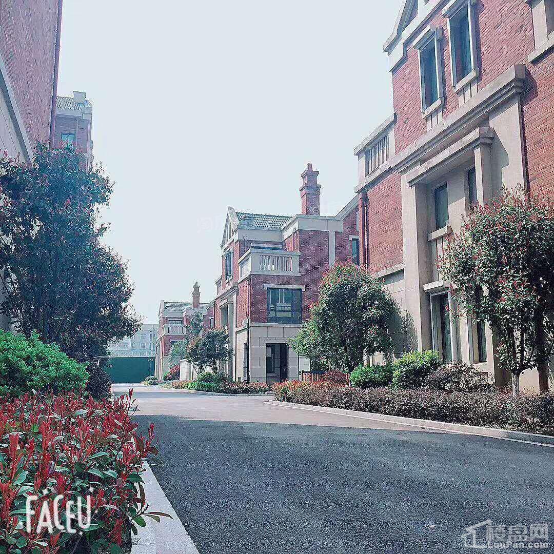 万江红公馆效果图