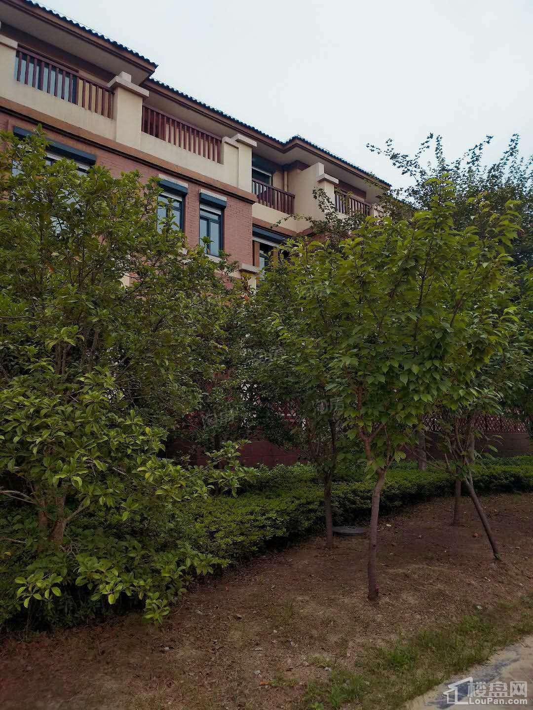 首开水印西堤实景图
