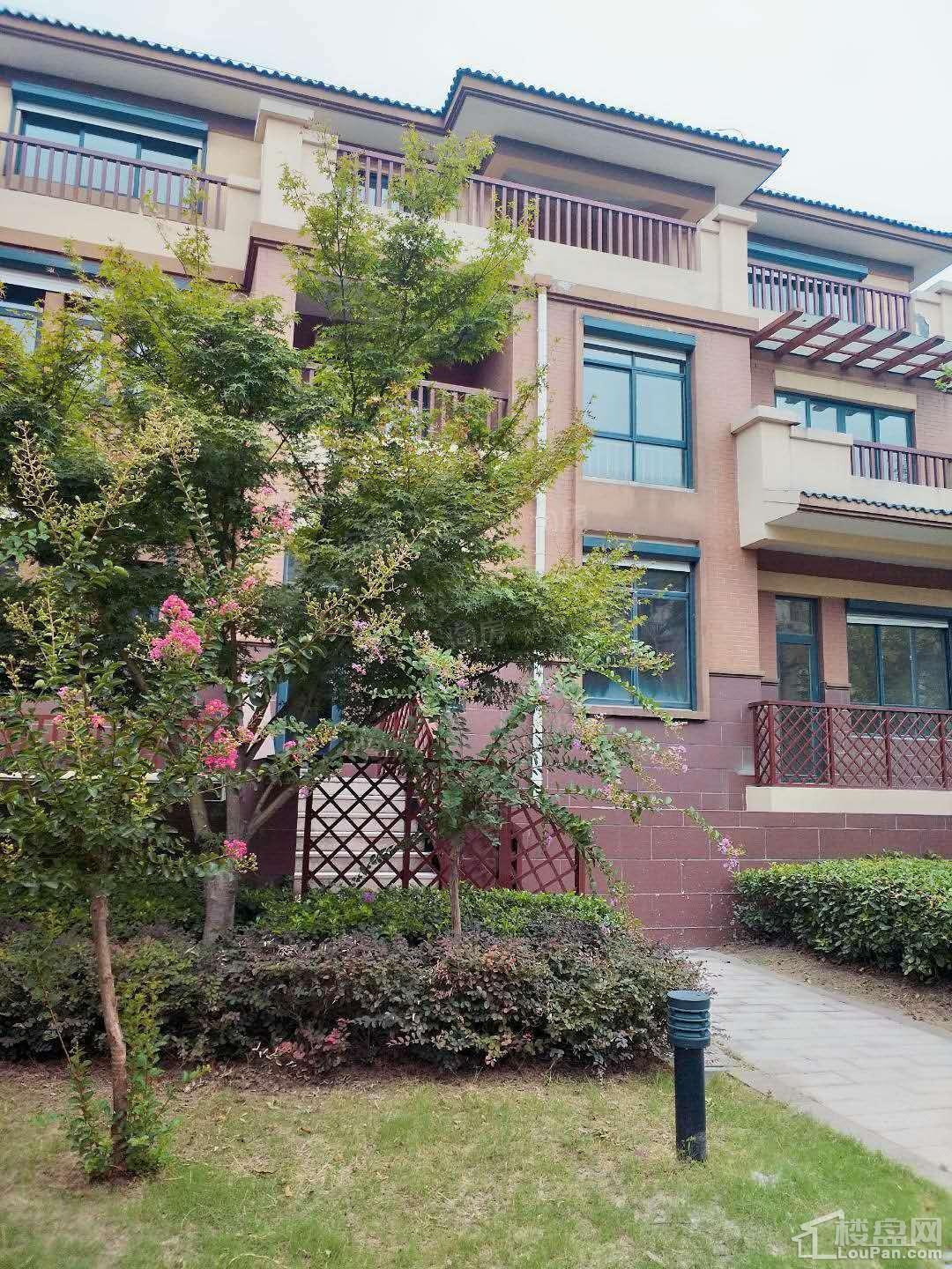首开水印西堤实景图