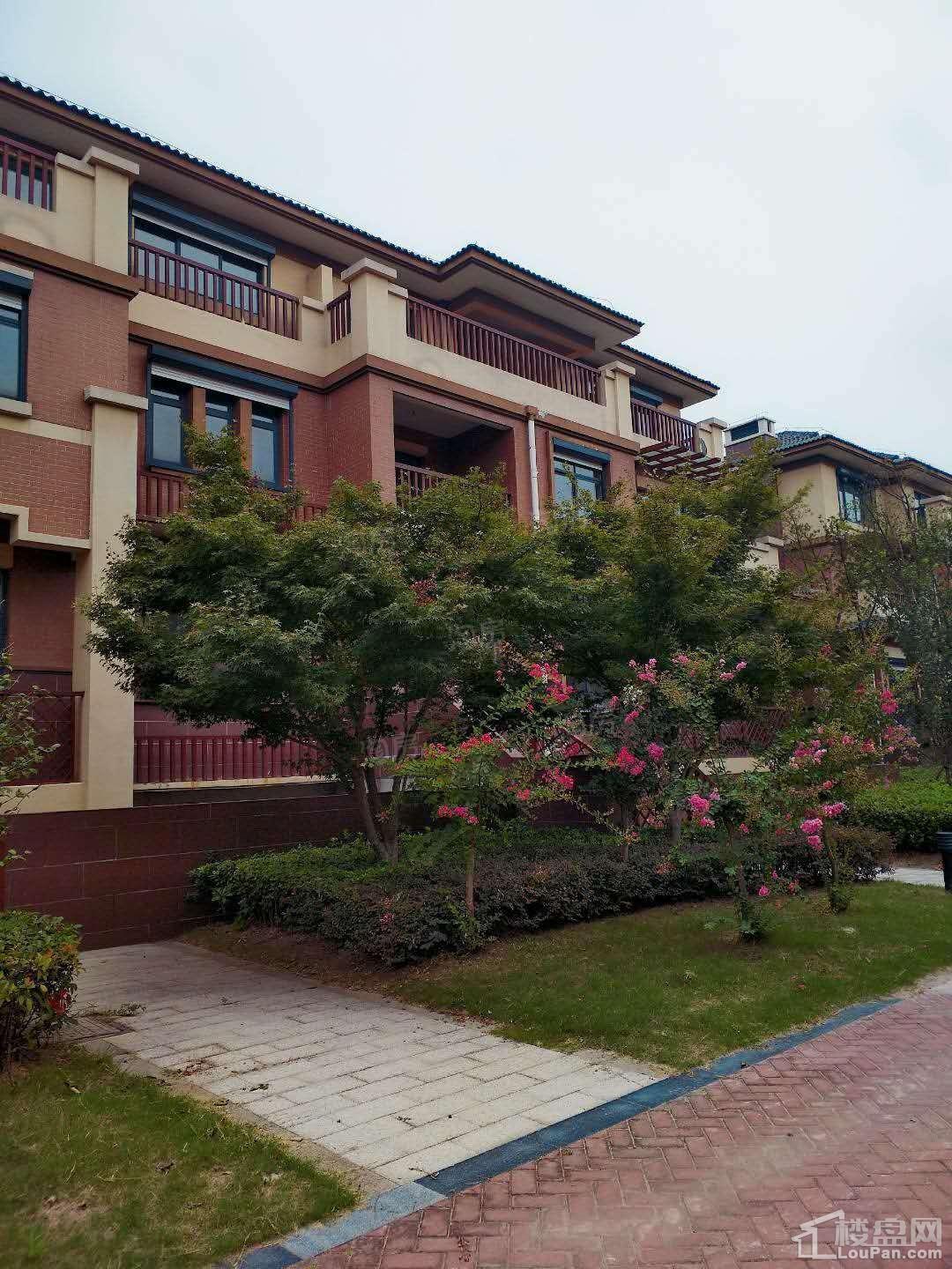 首开水印西堤实景图