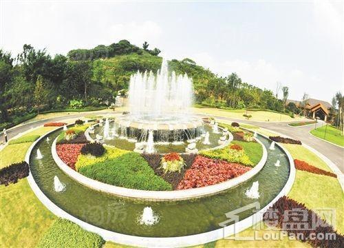 实景图