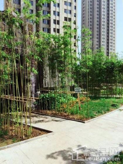 盛秦北苑实景图
