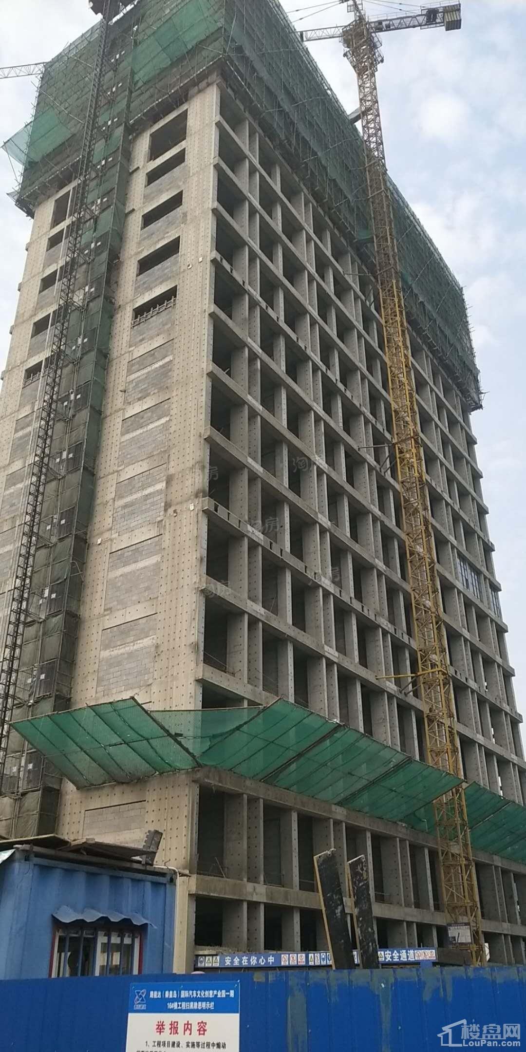 实景图
