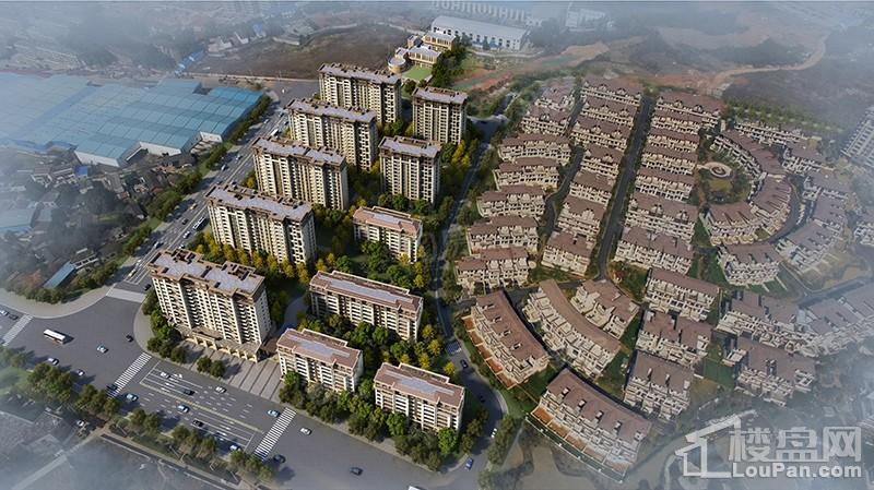 效果图