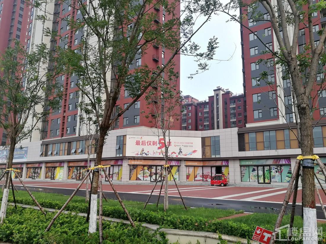 城开东岸实景图