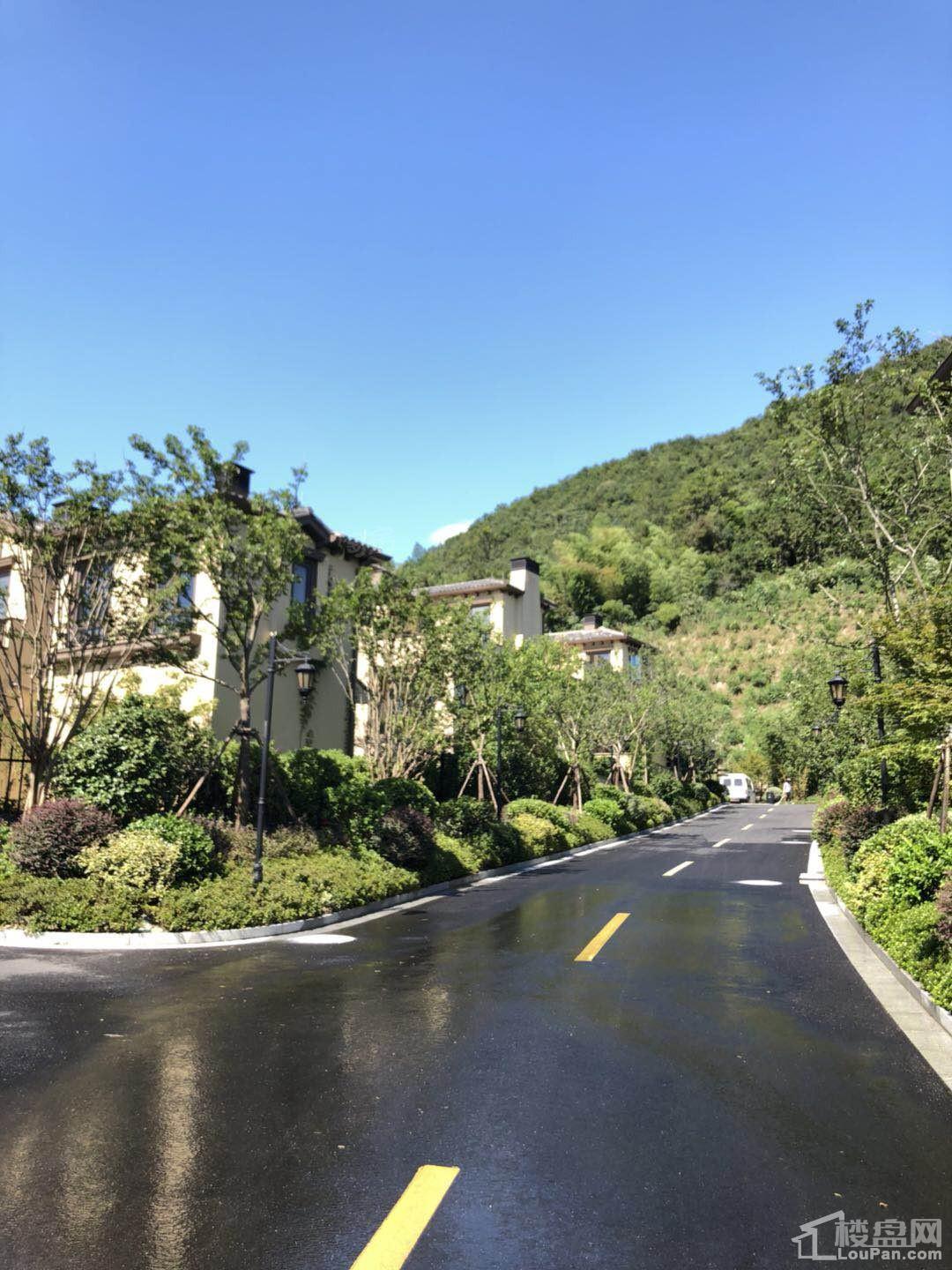 绿城·龙王溪小镇实景图