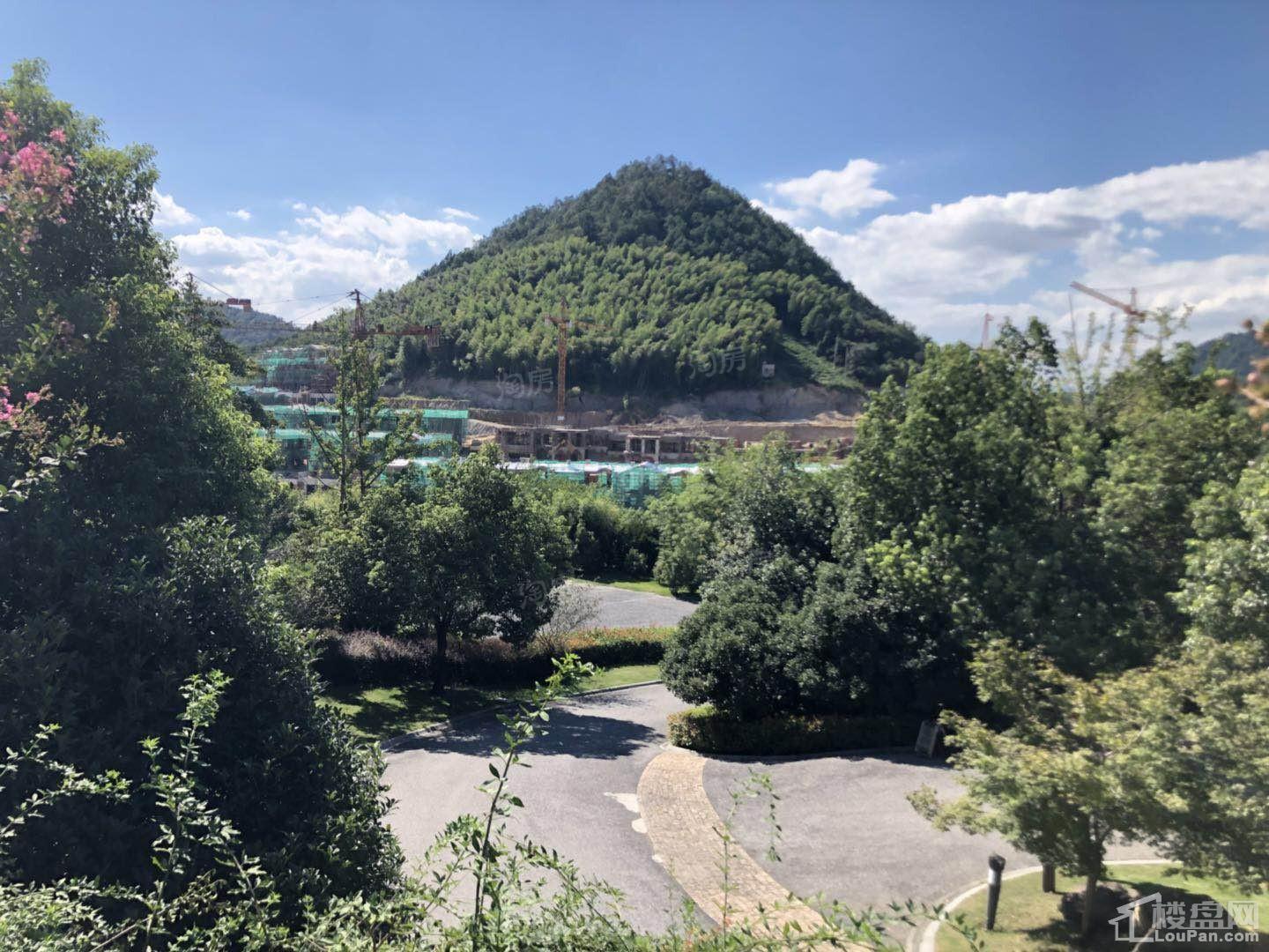 绿城·龙王溪小镇实景图