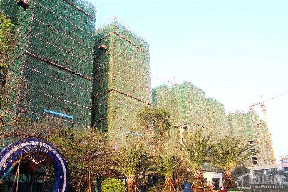 实景图