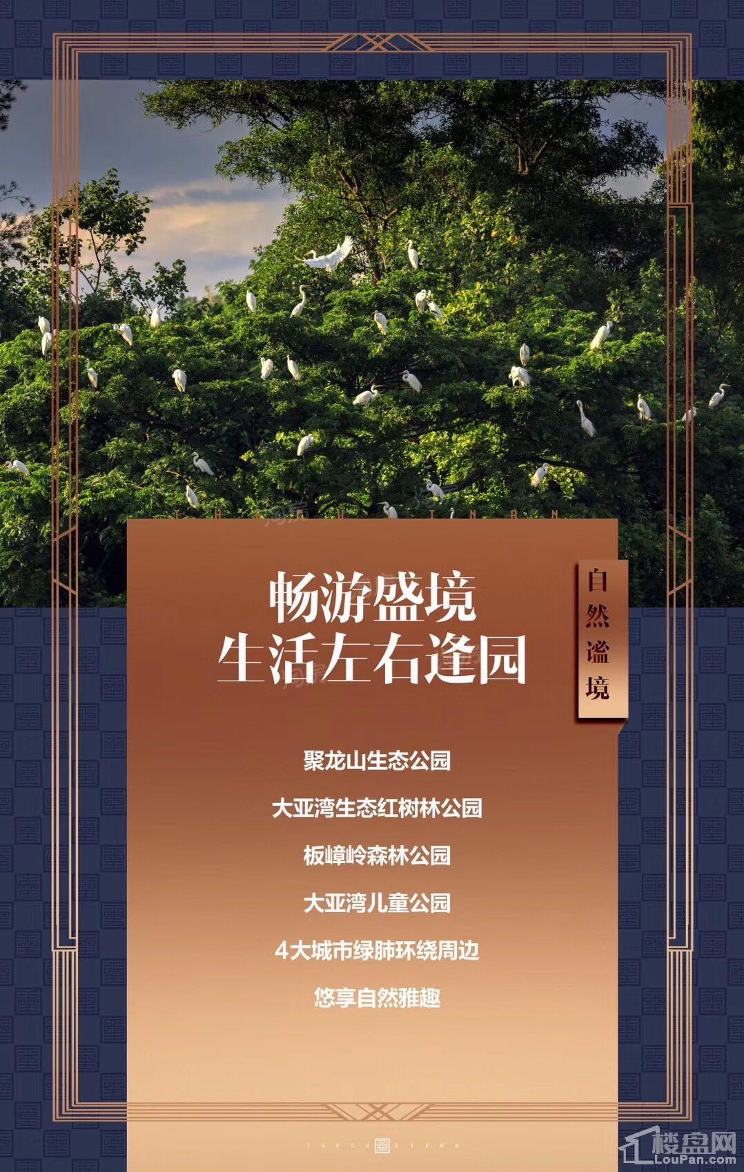 丰谷天玺效果图