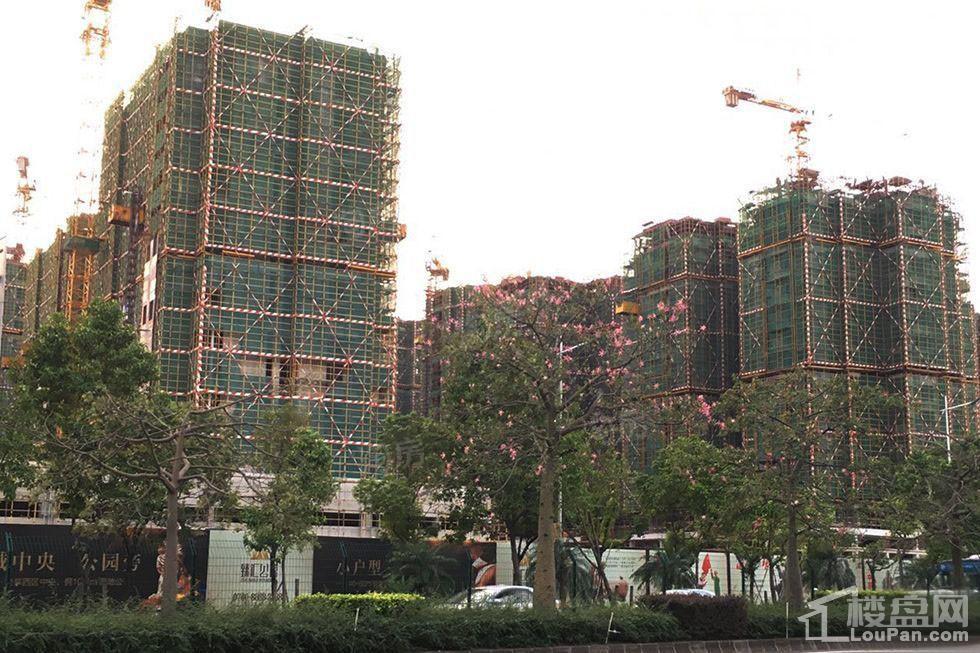 臻汇公馆实景图