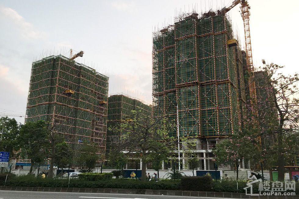 臻汇公馆实景图