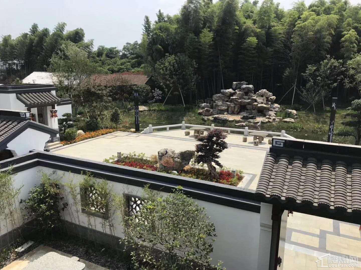 印象枫桥实景图