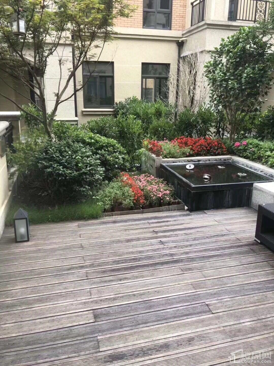 实景图