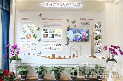 俊发·观云海实景图