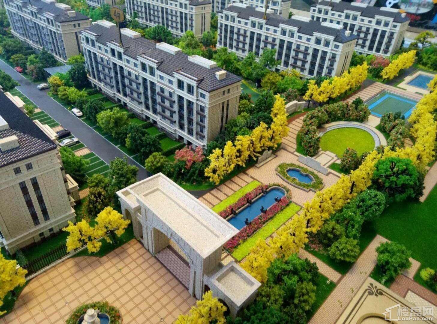 水映香缇实景图