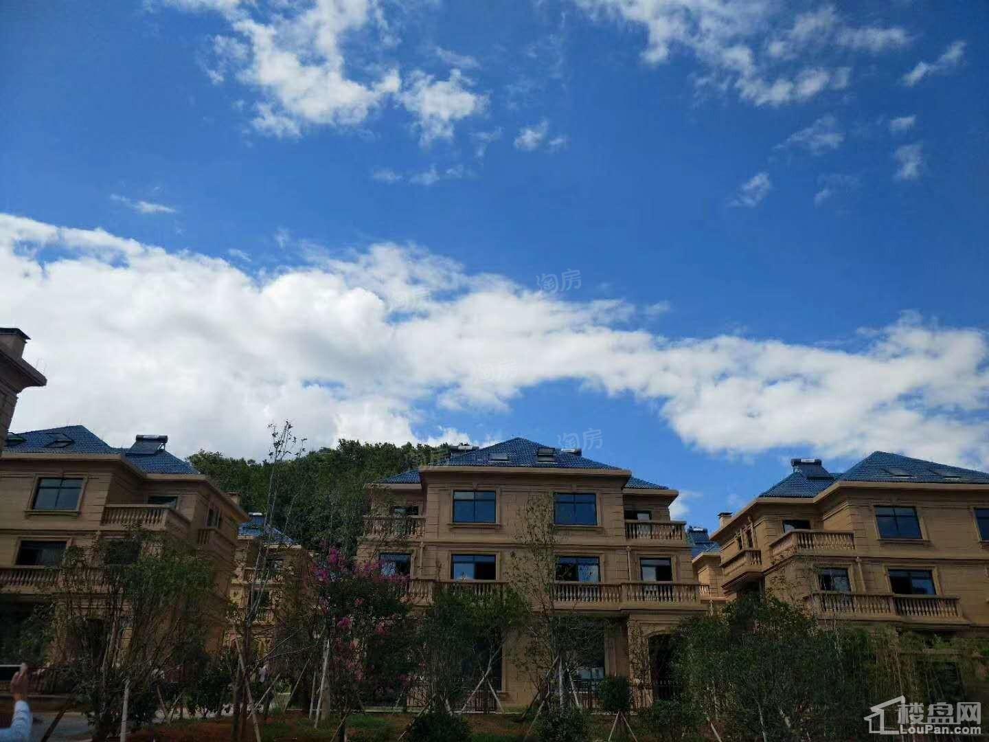 中林·香山华府实景图