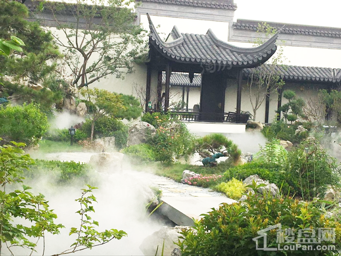 实景图