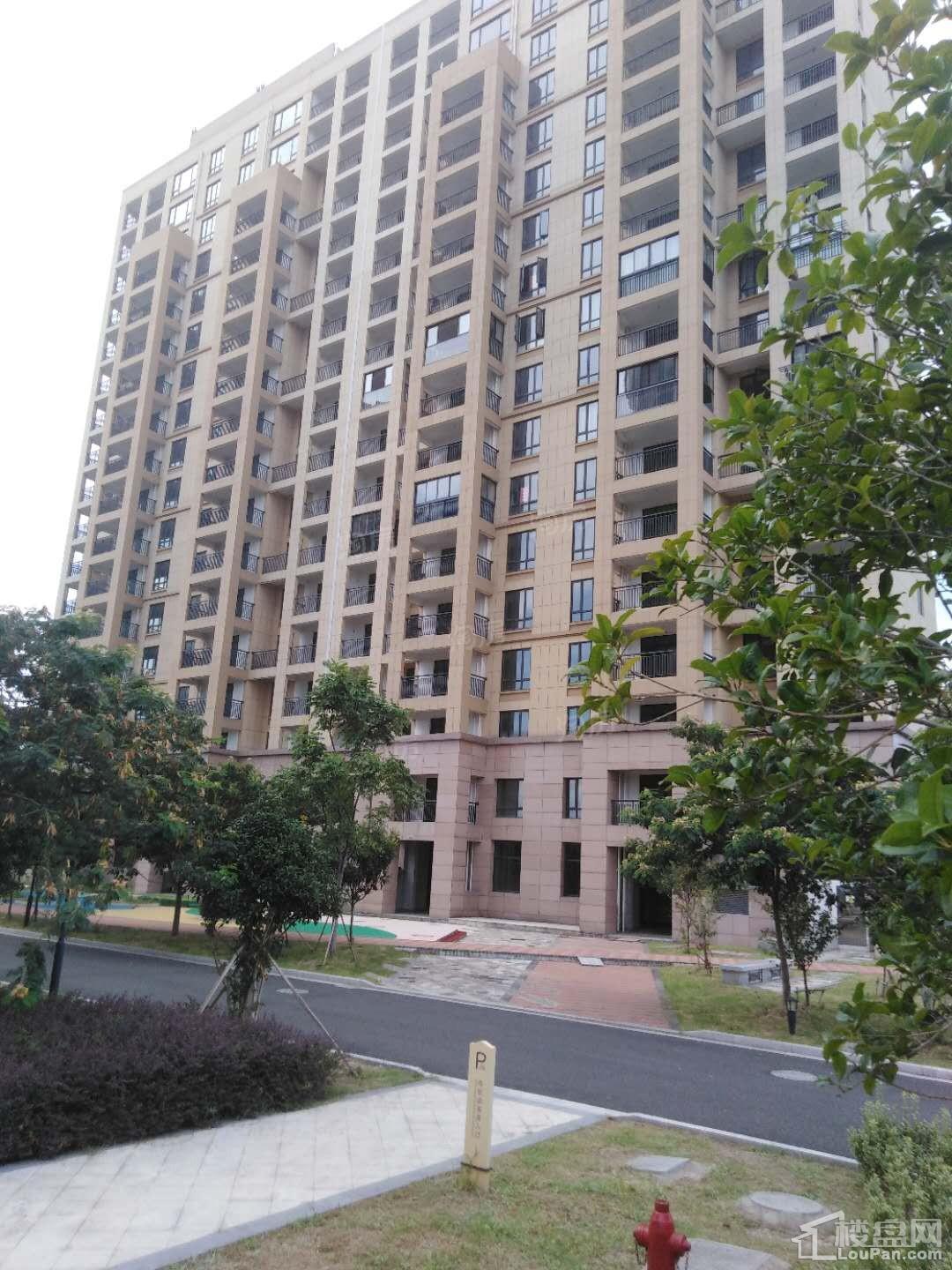 中联明珠园实景图