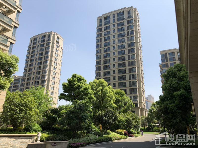 宝盈茗泓苑实景图