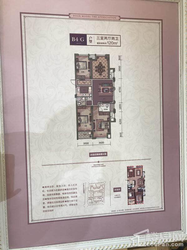 户型图片
