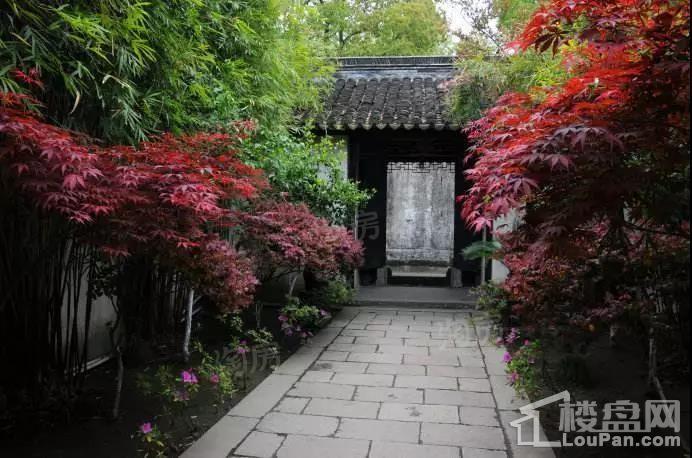 瘦西湖院子实景图