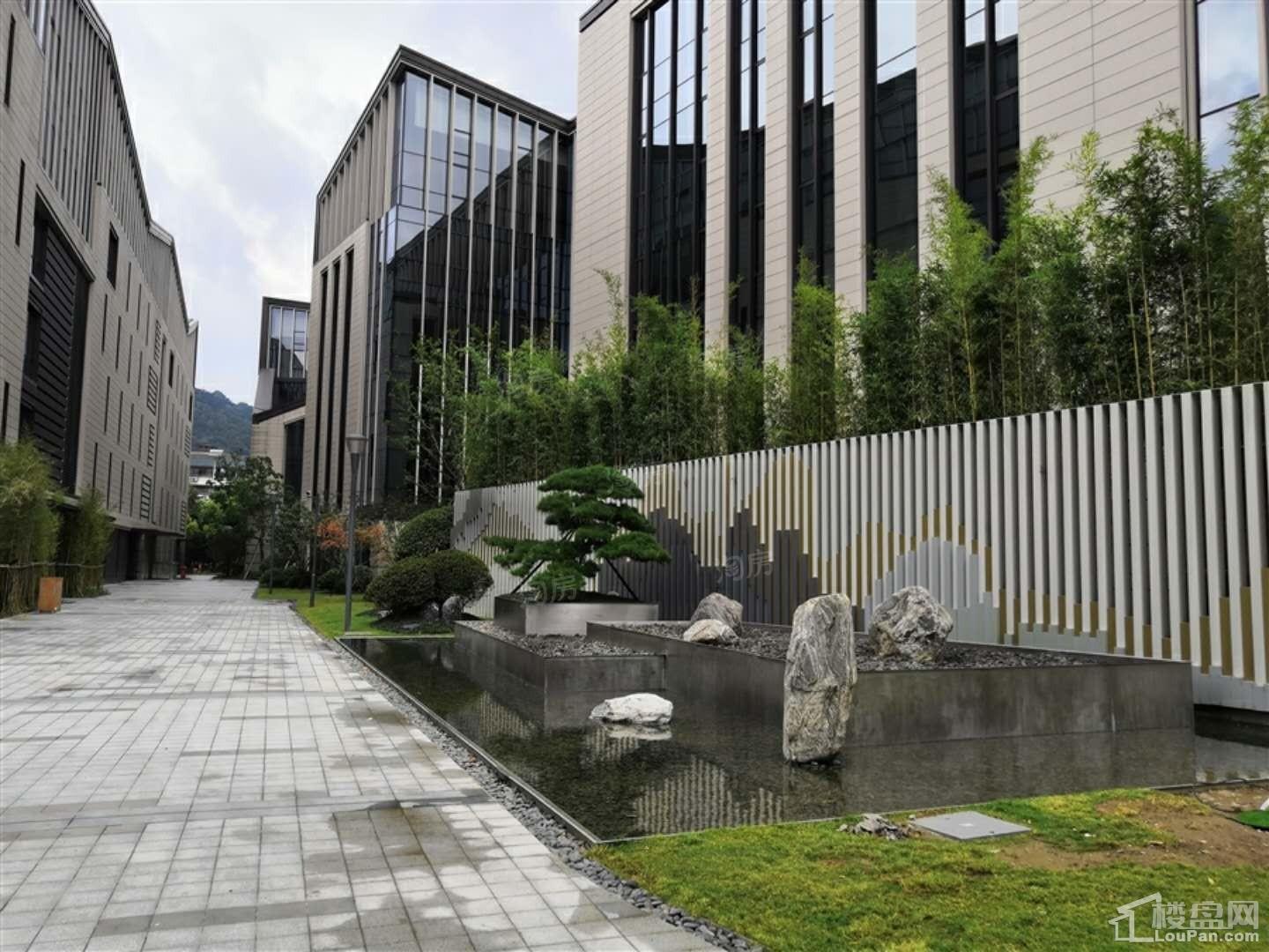 金瑞山南印实景图