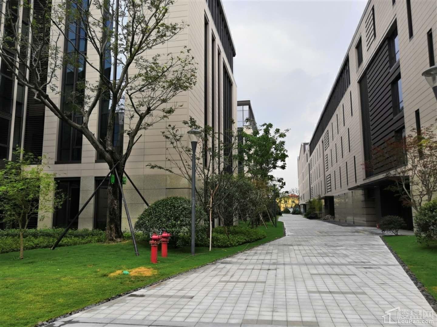 金瑞山南印实景图