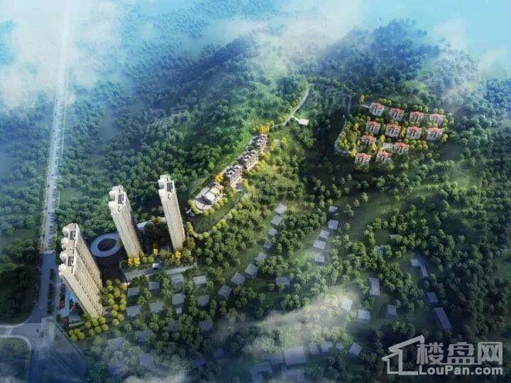 新力帝泊湾效果图