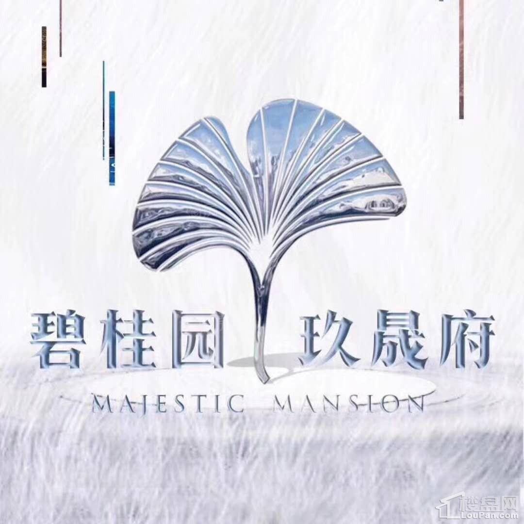 碧桂园玖晟府效果图