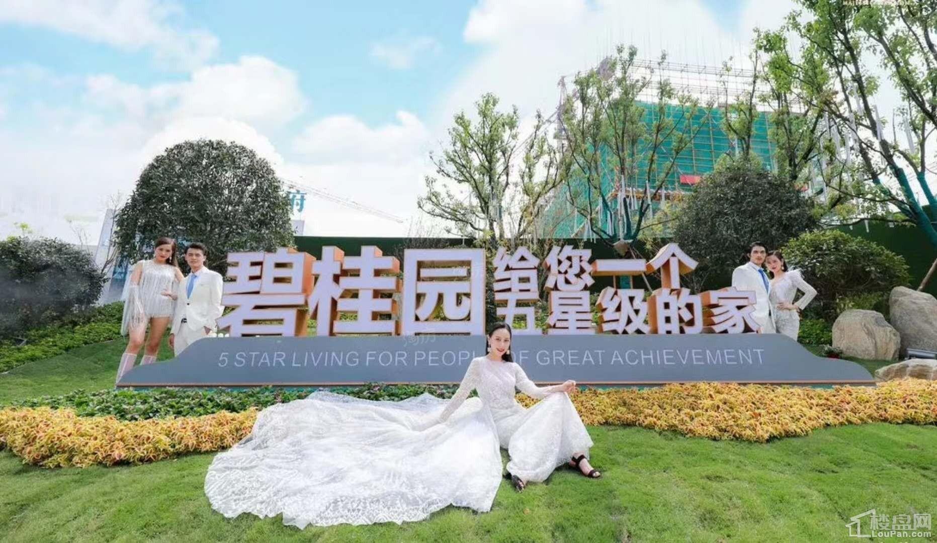 碧桂园玖晟府效果图