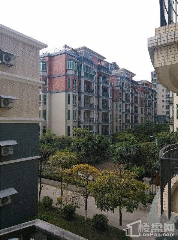 星汇花苑实景图