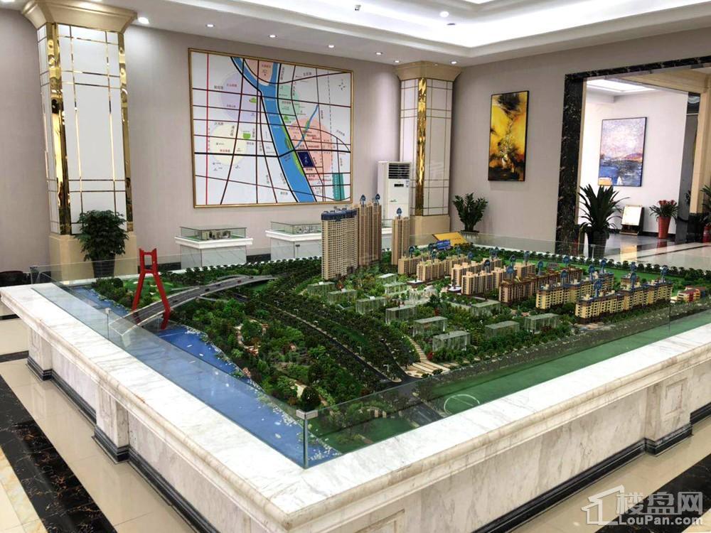 卓新江来实景图