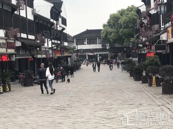 同里江南悦实景图