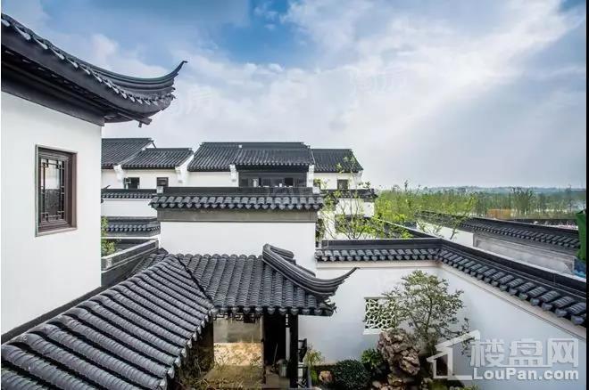 实景图