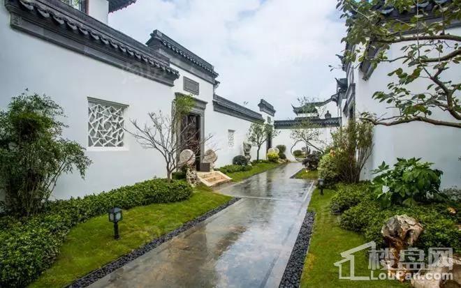 园博村桃李春风实景图