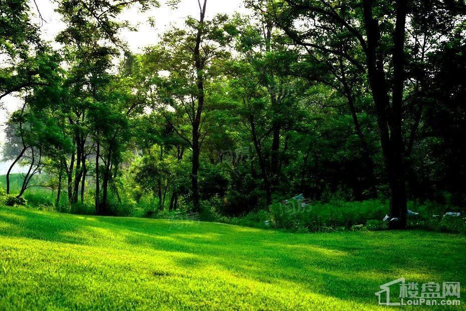 荣盛汤泉首岭实景图