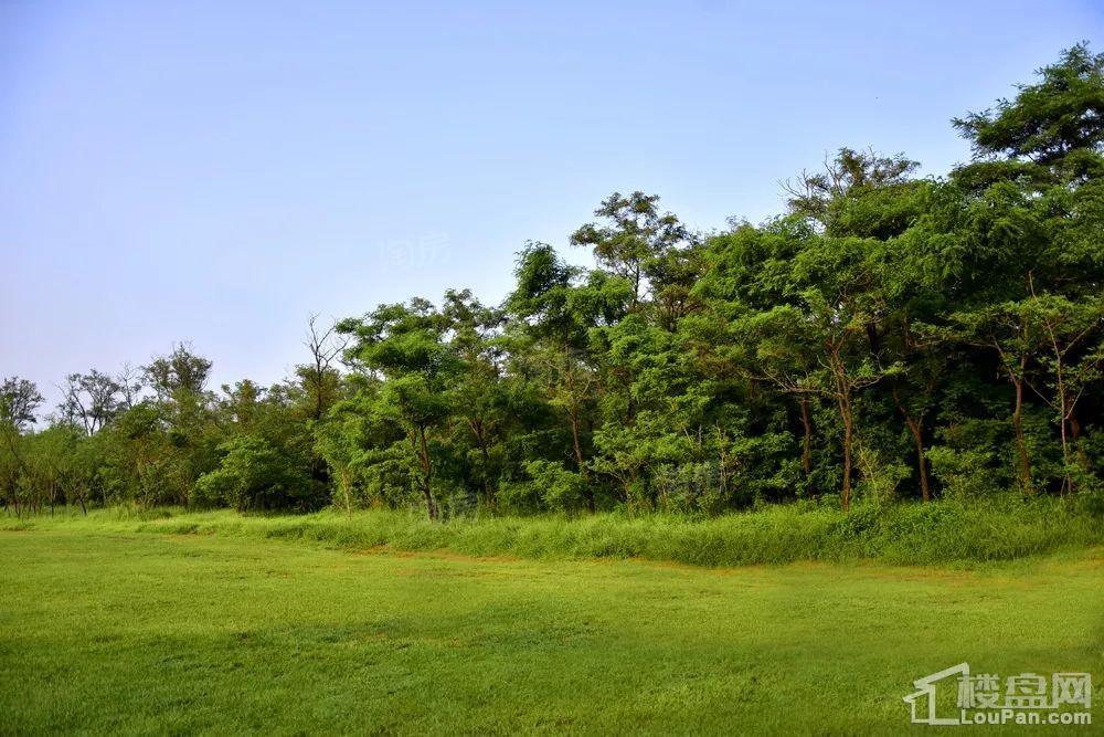 荣盛汤泉首岭实景图