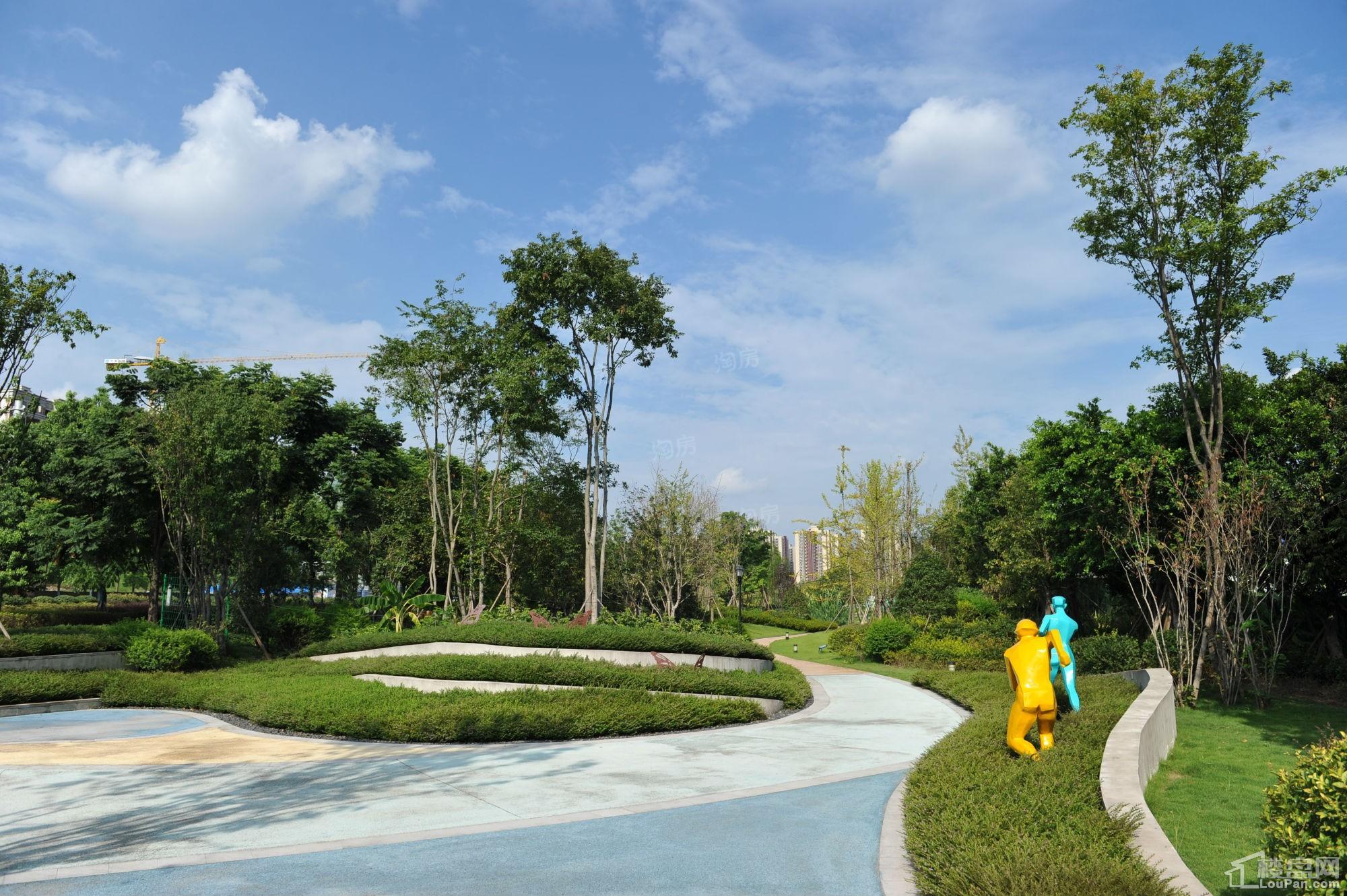 实景图