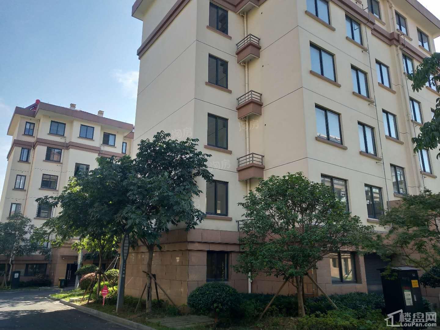 禾旭永兴家园实景图