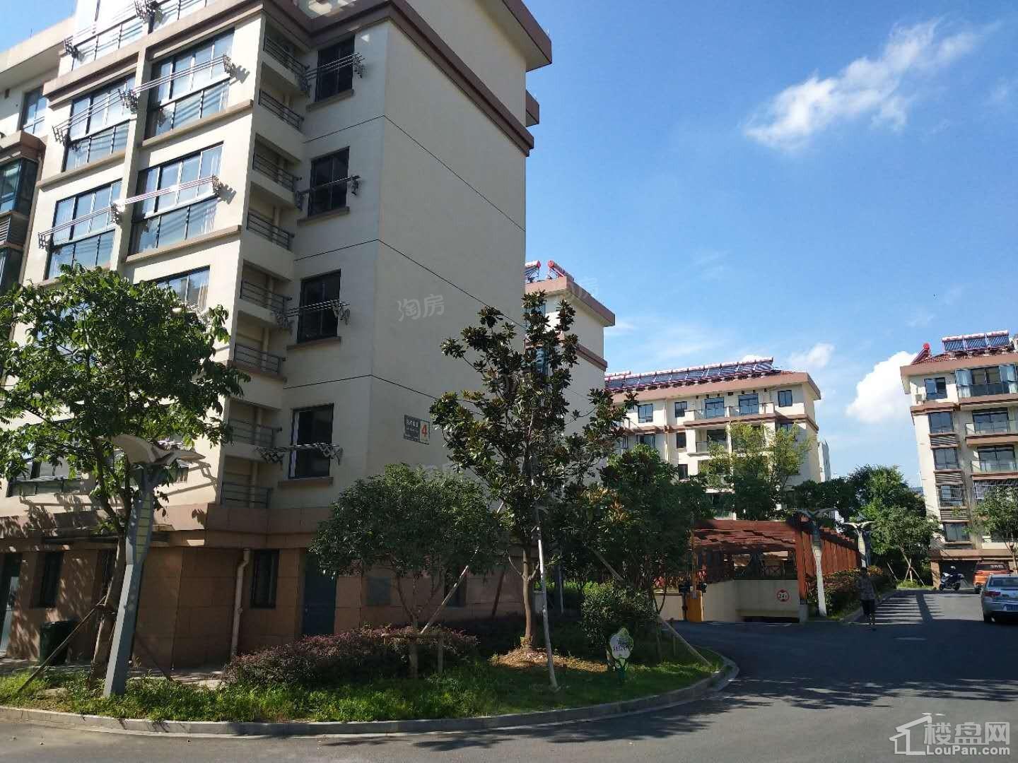 禾旭永兴家园实景图