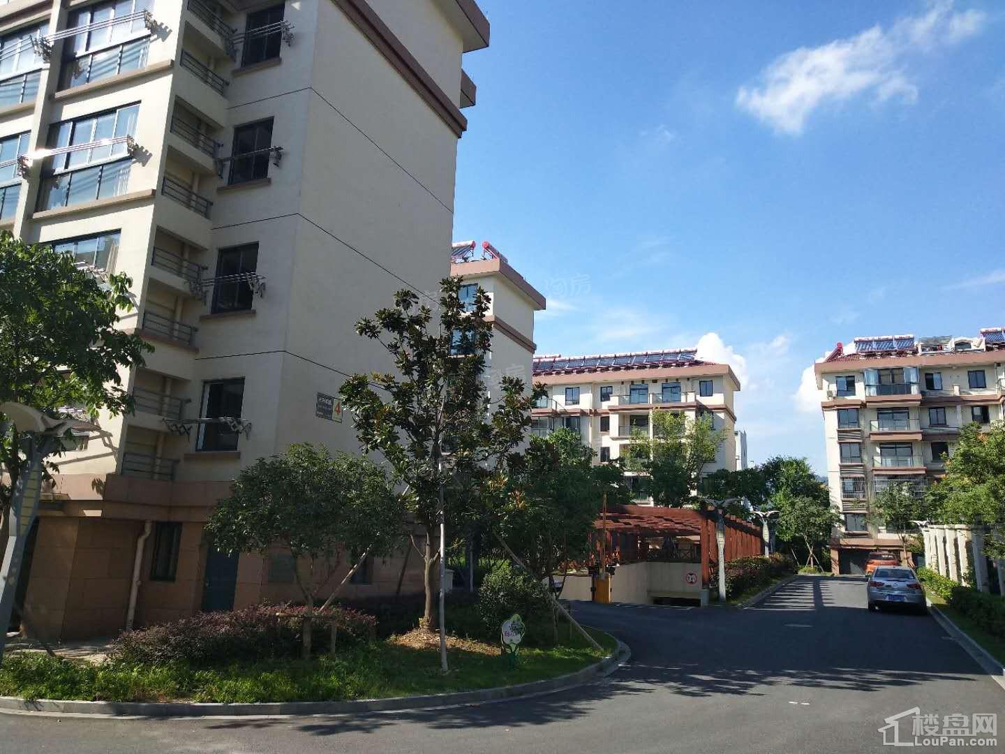 禾旭永兴家园实景图