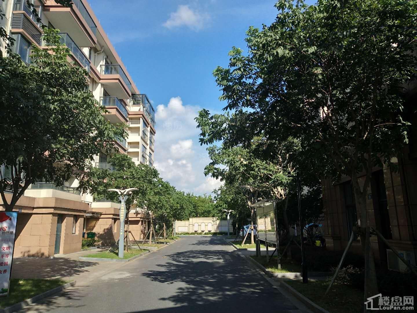 禾旭永兴家园实景图