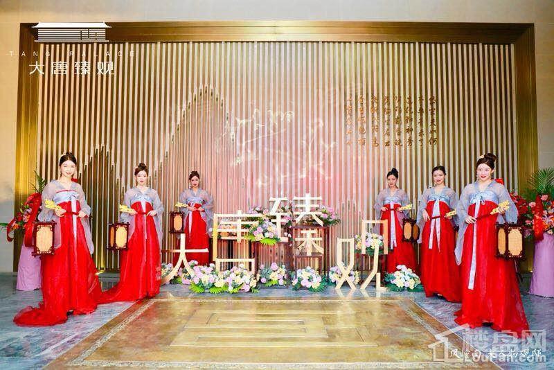 大唐臻观实景图