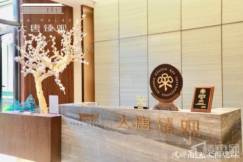 大唐臻观实景图